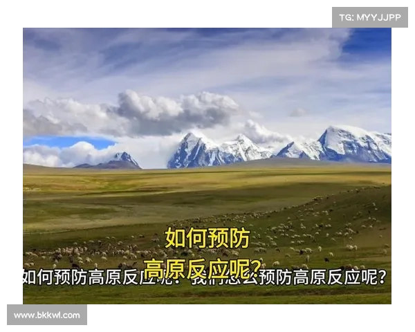 登山者高原反应预防指南分阶段适应海拔缓解风险