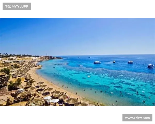 瑞士冰岛球迷激情互动 瑞士民谣与维京战歌交织成精彩赛场花絮